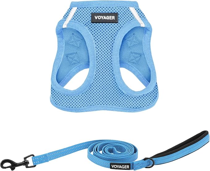 Best Pet Supplies Voyager step-in air mesh dog harness with reflective bands and leash