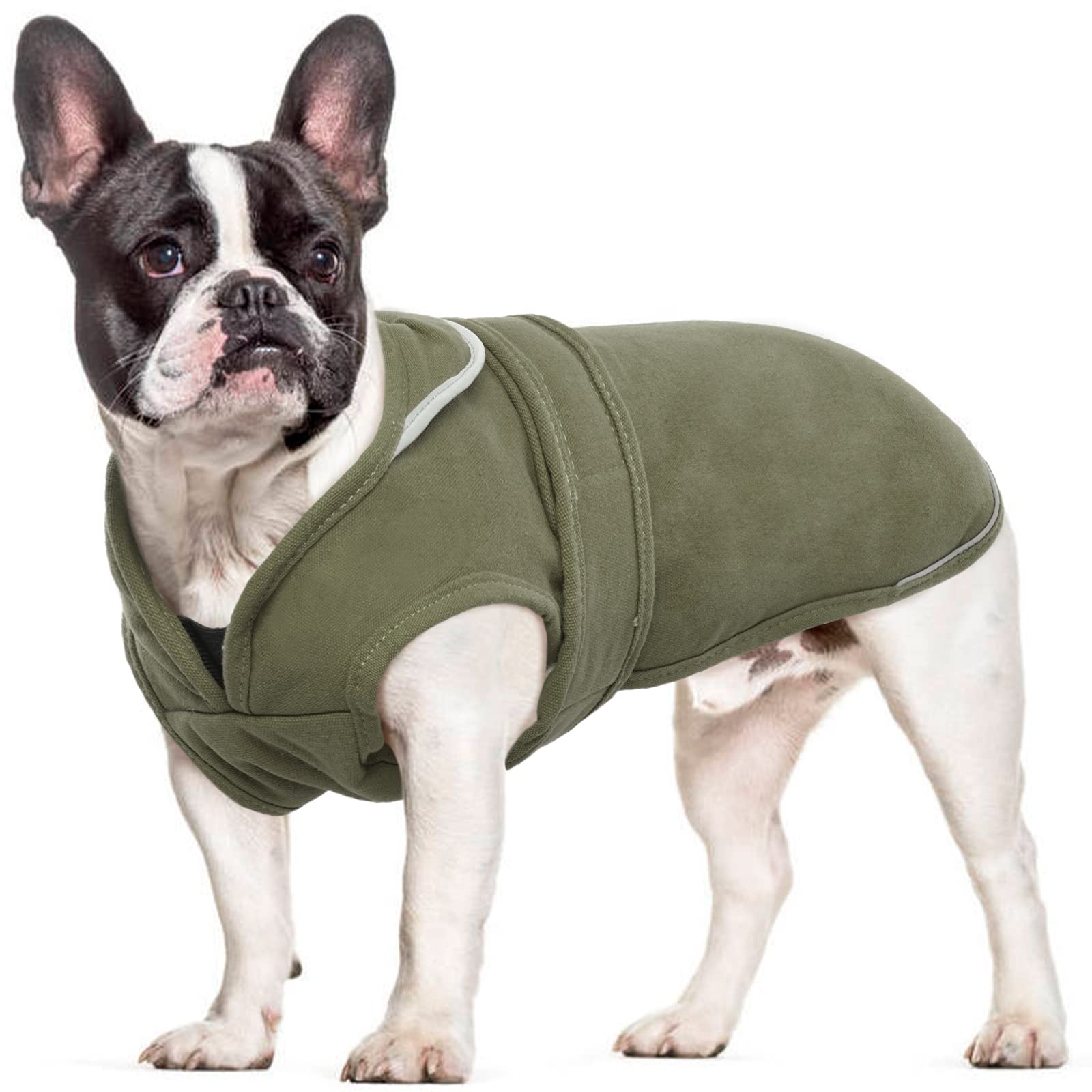Walking Gear for a Fluffy Frenchie: Harnesses, Leads and Coats 5 — Dog Fluffy