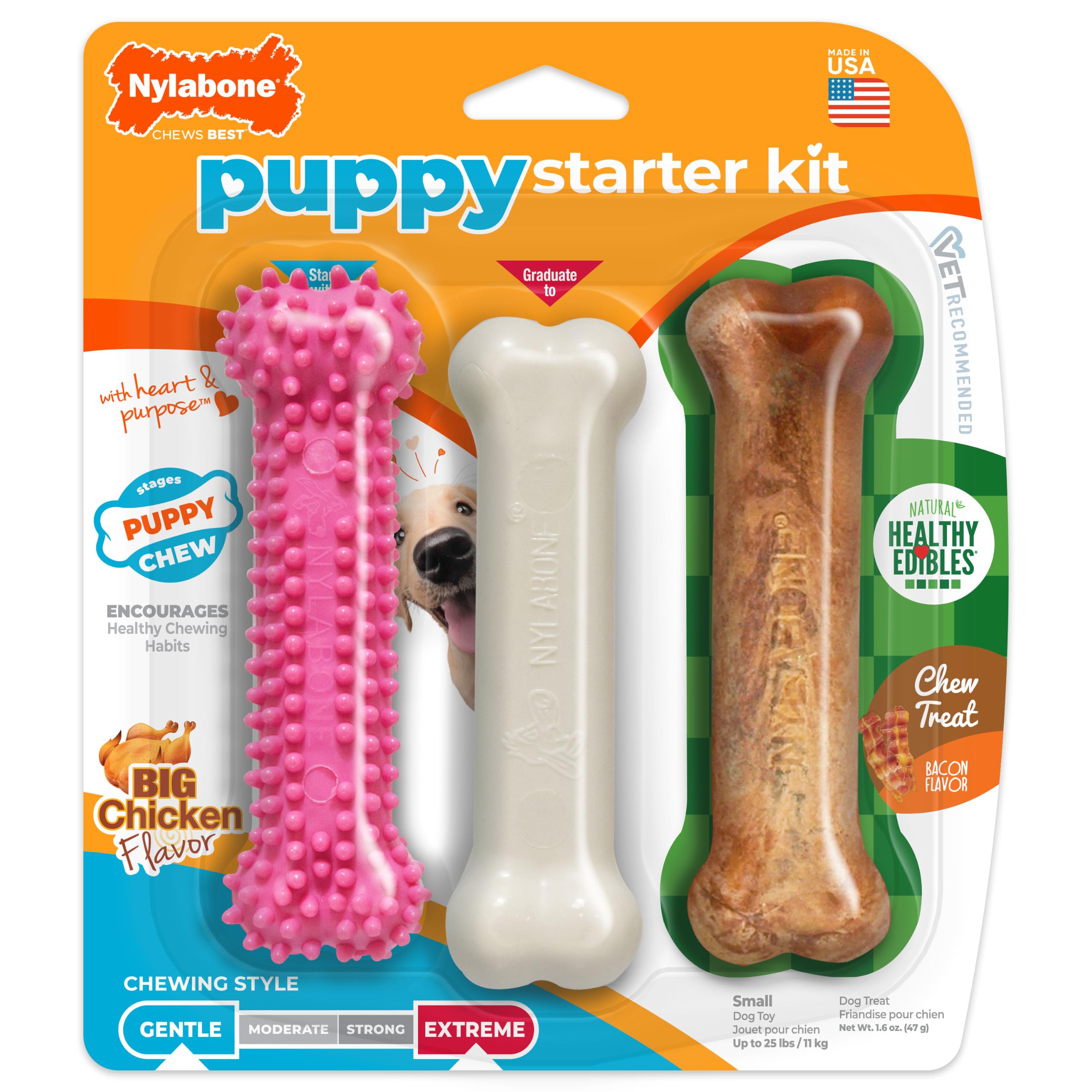 Nylabone New Puppy Starter Kit teething toys
