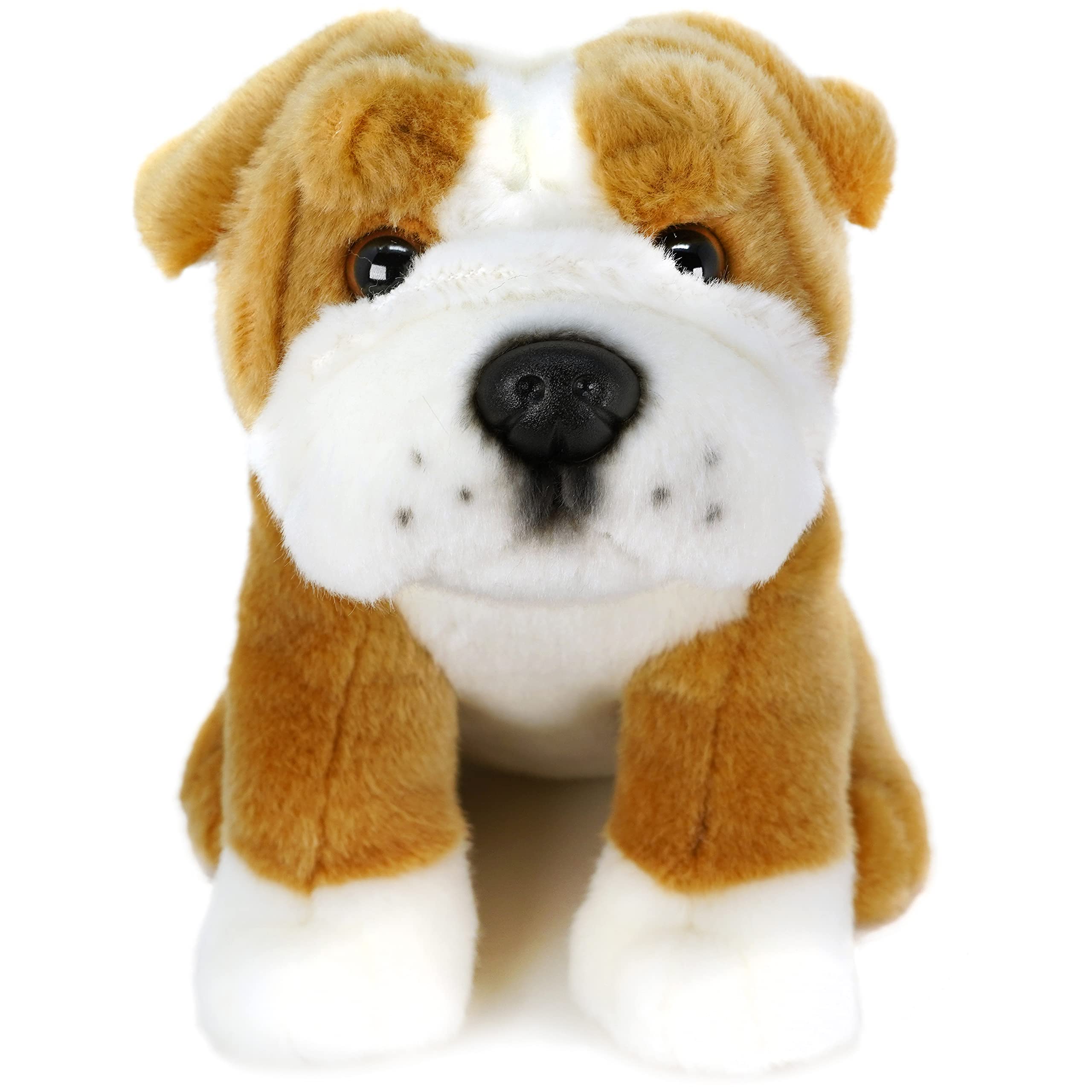 TigerHart Egan The English Bulldog