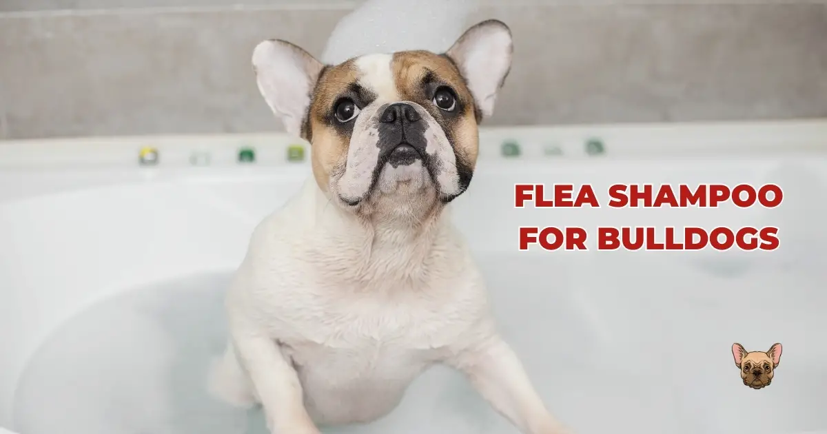 Best 6 Flea Shampoo for Bulldogs: Expert Guide