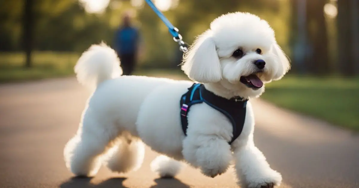Commands and Training - Does Bichon Bark a Lot?