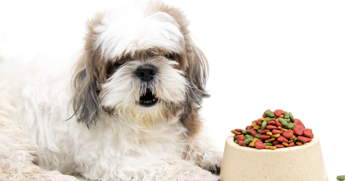 Diet and Shih Tzu's Hair Health - Shih Tzu Long Hair