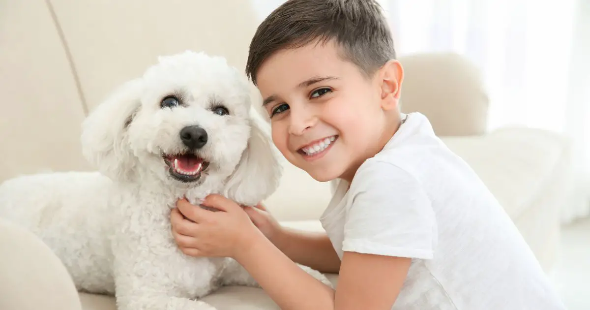 How Do Bichon Frises Interact with Children? A Comprehensive Guide