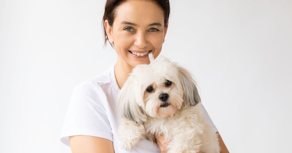 Shih Tzu Rescues and Adoption - Shih Tzu Health Issues