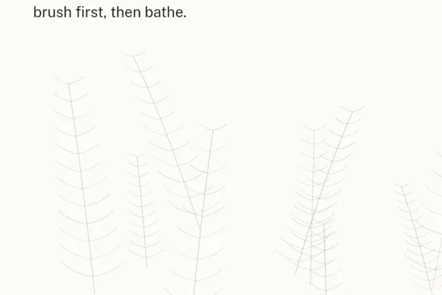 Best Shampoo for a Fluffy Frenchie: What to Look For