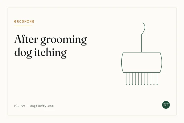 After Grooming Dog Itching: Causes and Solutions