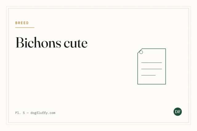 Are Bichons Cute? A Comprehensive Look at the Adorable Breed