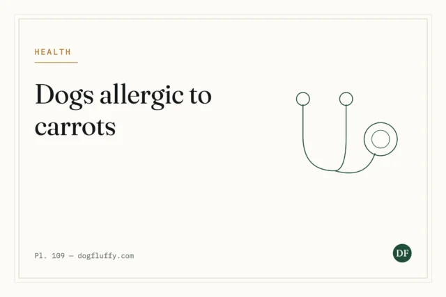 Are Dogs Allergic to Carrots?