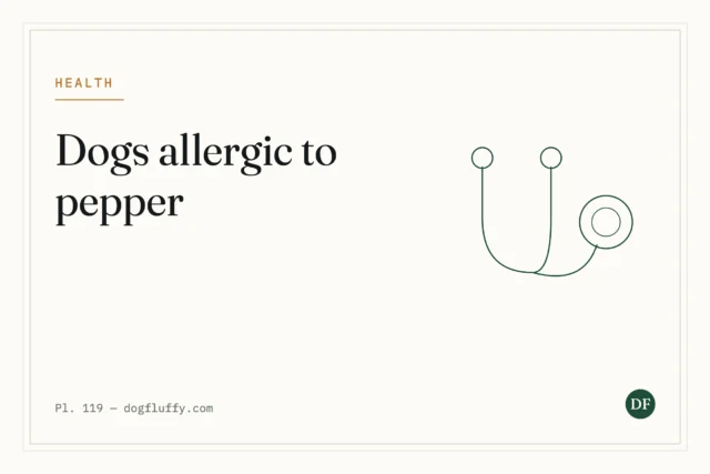Are Dogs Allergic to Pepper?