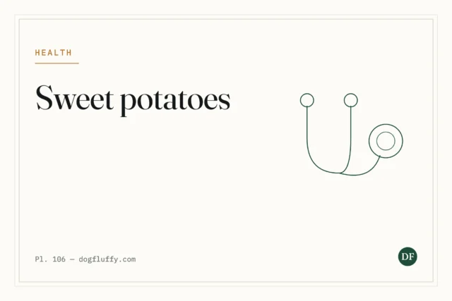 Are Dogs Allergic to Sweet Potatoes? What to Watch For