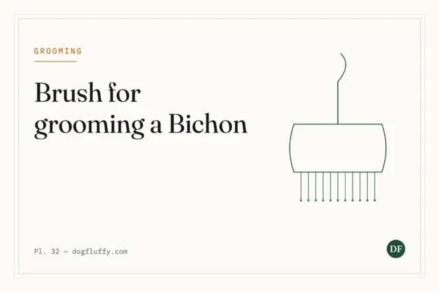 5 Best Brush for Grooming a Bichon Frise