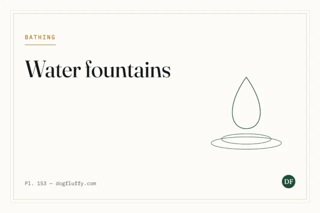 6 Best Bulldog Water Fountain