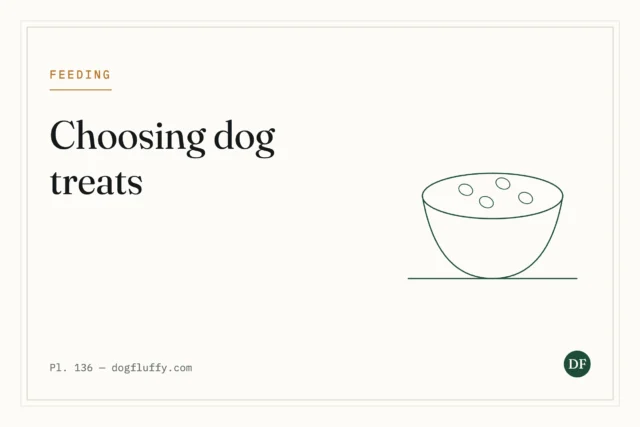 Best Dog Treats: What to Buy and How Much Is Too Much