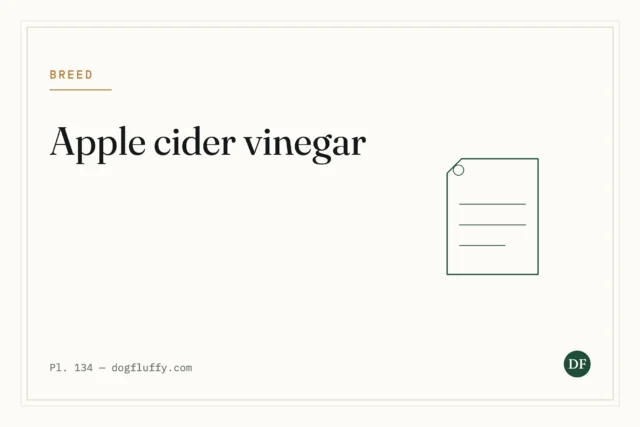 Can Dogs Consume Apple Cider Vinegar?