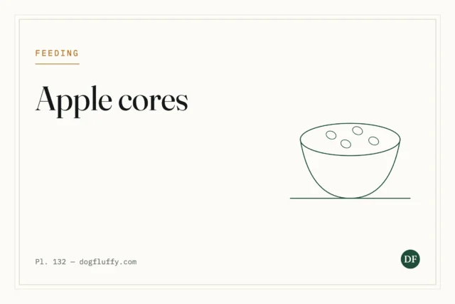 Can Dogs Eat Apple Cores?