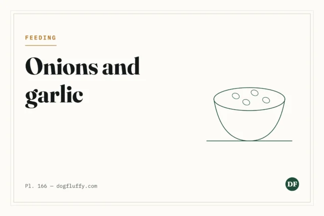 Can Dogs Eat Onions or Garlic?
