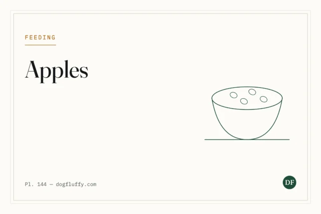 Can French Bulldogs Eat Apples?