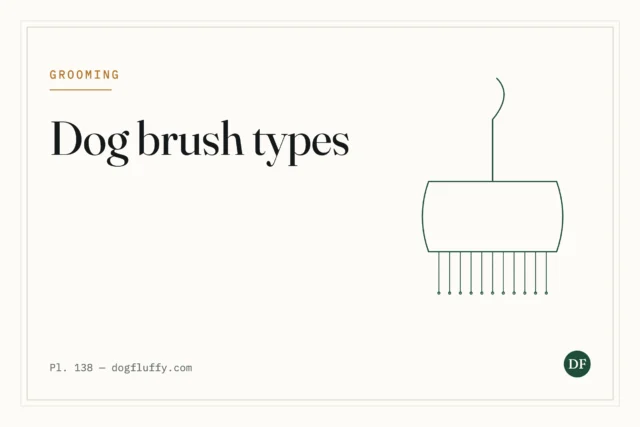 Dog Brush Types: Which One Your Dog Actually Needs