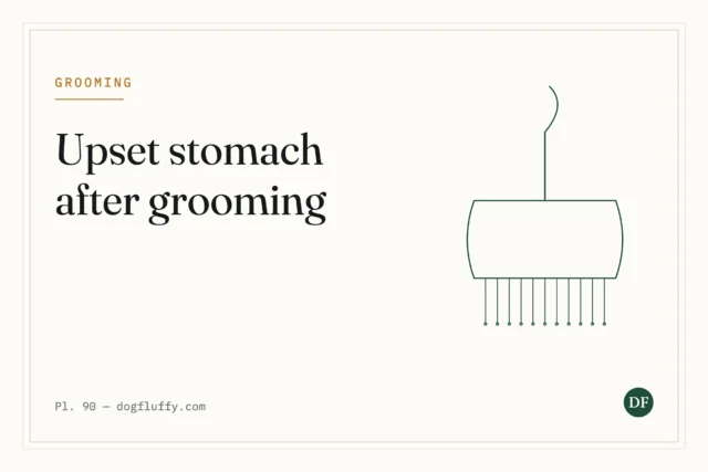 2 Reasons Your Fluffy Dog Diarrhea After Grooming