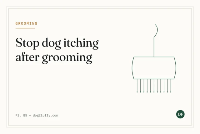 Stop Dog Itching After Grooming: 5 Simple Solutions