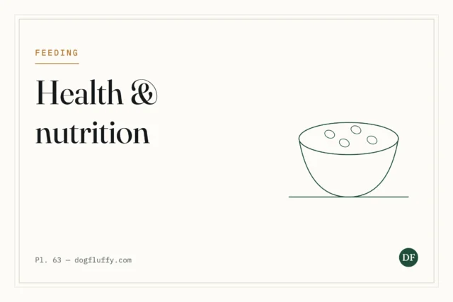 10 Professional Health and Nutrition Tips for Fluffy Dogs