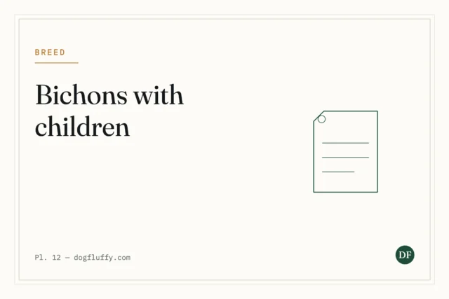 How Do Bichon Frises Interact with Children?