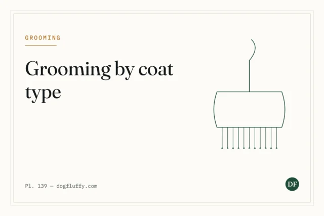 How Often to Groom a Dog, by Coat Type