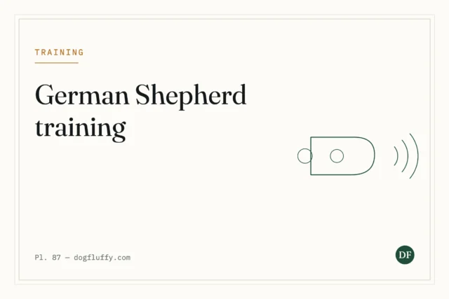 Best 10 Proven Tips On How To Train A German Shepherd Puppy