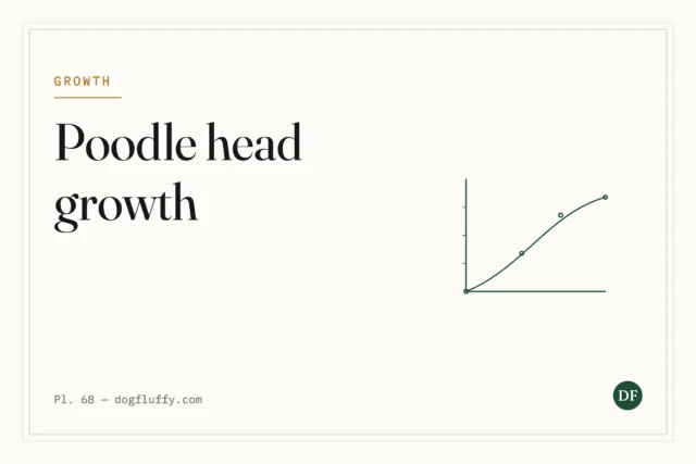 Poodle Head Growth: Encouraging Healthy Hair