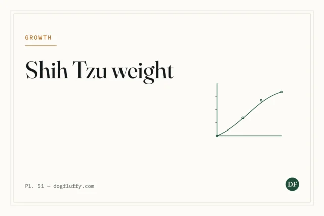 Shih Tzu Weight: How to Keep Your Furry Friend Healthy