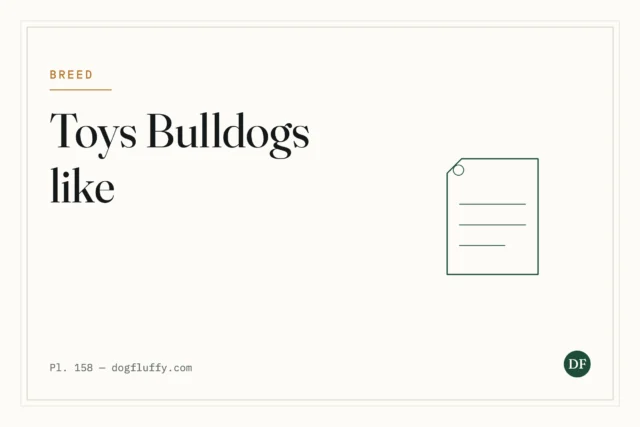 What Kind Of Toys Do Bulldogs Like?