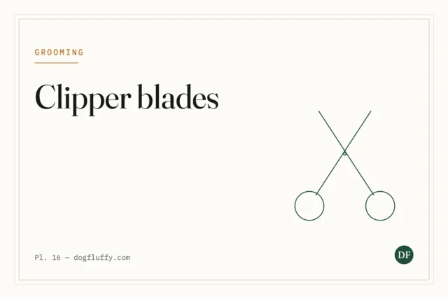 What Size Blade Should I Use to Groom My Bichon Frise?
