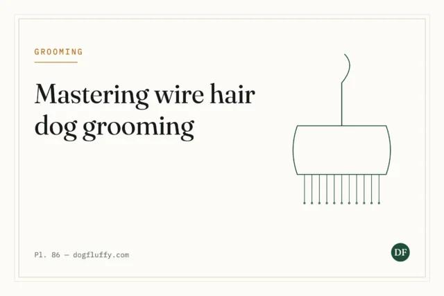 Mastering Wire Hair Dog Grooming: Best 7 Pro Tips