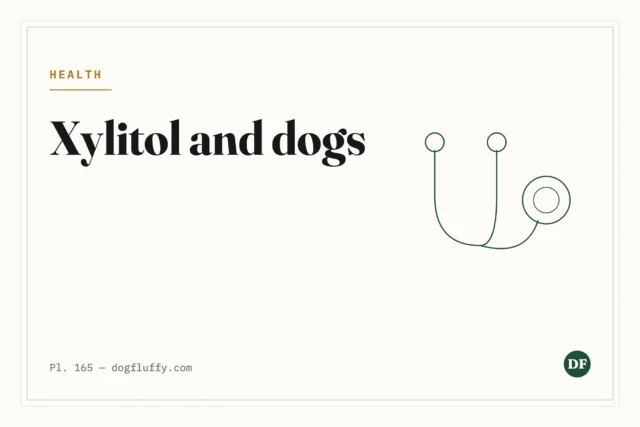 Xylitol and Dogs: The Sweetener That Sends Dogs to A&E