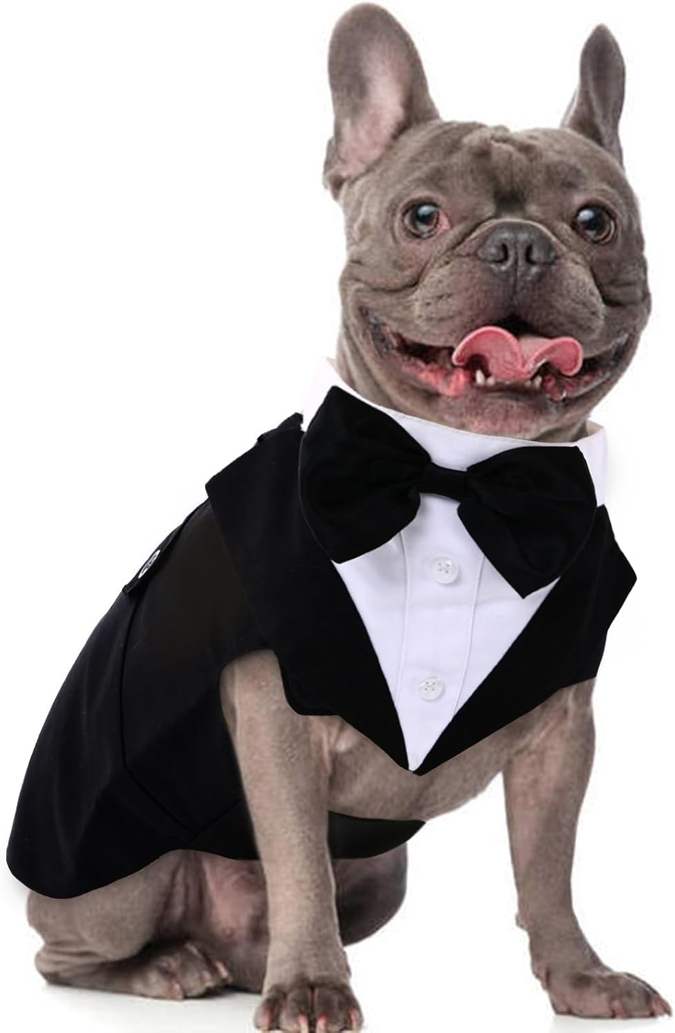 French Bulldog Costumes That Don’t Suck (5 Picks) 2 — Dog Fluffy