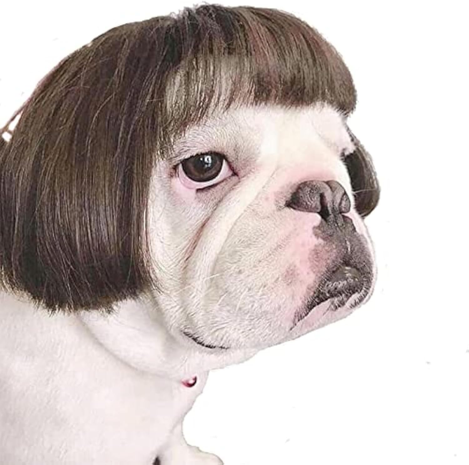 French Bulldog Costumes That Don’t Suck (5 Picks) 4 — Dog Fluffy